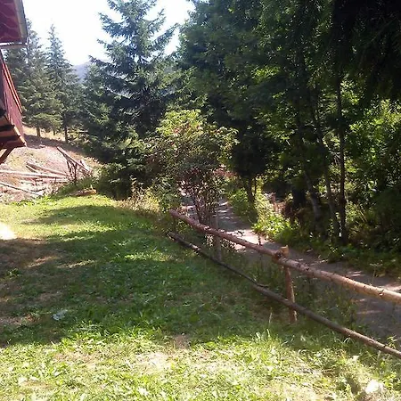Domek alpejski Alia *